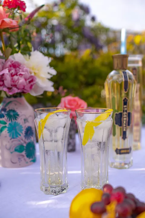 VIVE L'APÉRITIF!  ST-GERMAIN AND VAISSELLE LAUNCH LIMITED-EDITION APÉRITIF EDIT 