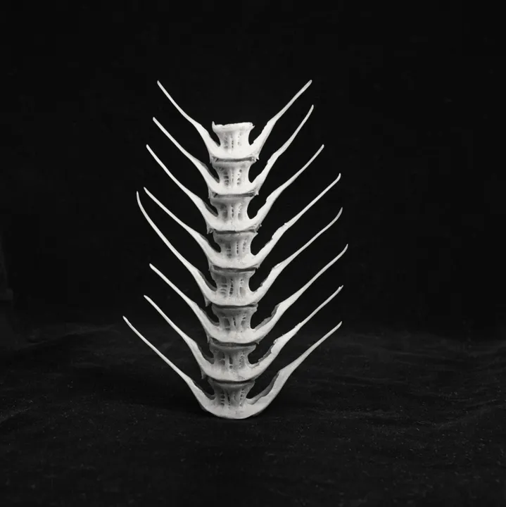 Inventing a New World with Charlotte Perriand
