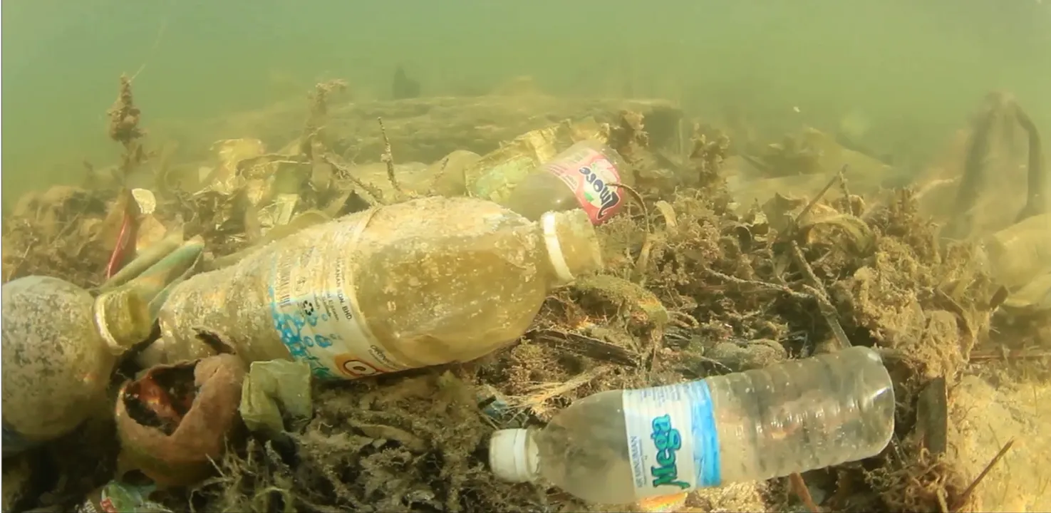 Exactly a year on from Blue Planet II - what’s changed in our approach to conservation of the ocean?