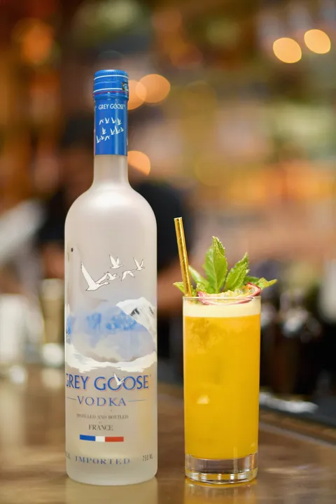GREY GOOSE OFF SCRIPT MEDIA MIXER 2/5/18 LA USA THE GOLDEN GOOSE - GETTY IMAGES MATT WINKELMEYER